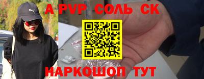 индика Сланцы