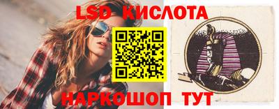 a pvp Славгород