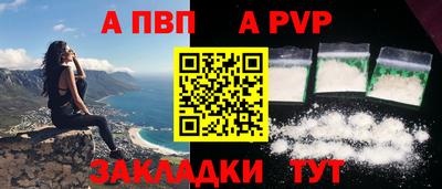 индика Сланцы