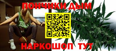 индика Сланцы