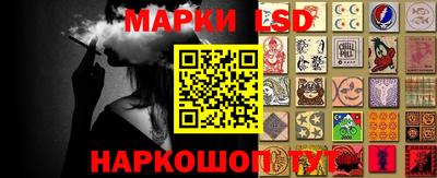 индика Сланцы