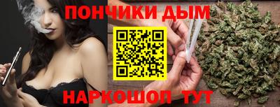 индика Сланцы