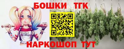 индика Сланцы