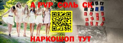 индика Сланцы