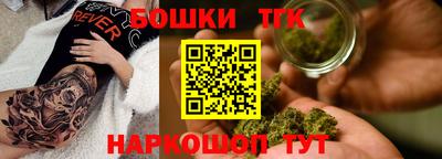 индика Сланцы