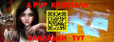 индика Сланцы
