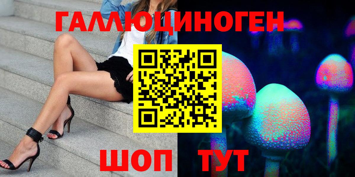 Галлюциногенные грибы Psilocybine cubensis Ржев